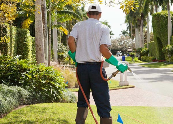 About Larimer PA Pest Control